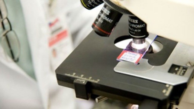 CША и Китай разработали антитела против MERS - ảnh 1